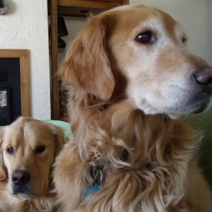 Meet your Posher, Paula